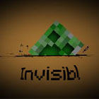 invisibl