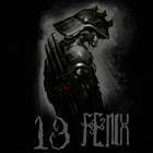 13_feNix