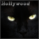 X_Hollywood_X