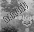 Damant