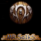 Mr_Sa1kS